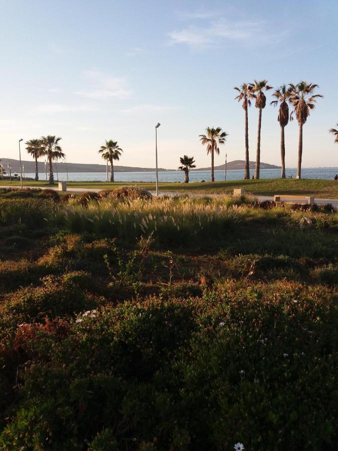 Apartment Nador Rif 外观 照片